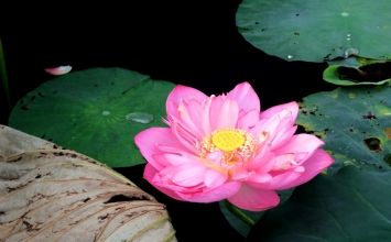 Giữ cho tâm và thân riêng biệt